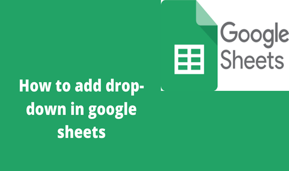 Read more about the article How to add drop-down in google sheets