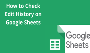 Read more about the article How to Check Edit History on Google Sheets
